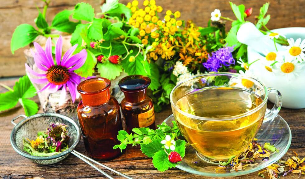 Phytothérapie pour augmenter un membre