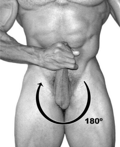 rotation du pénis pour l'augmenter